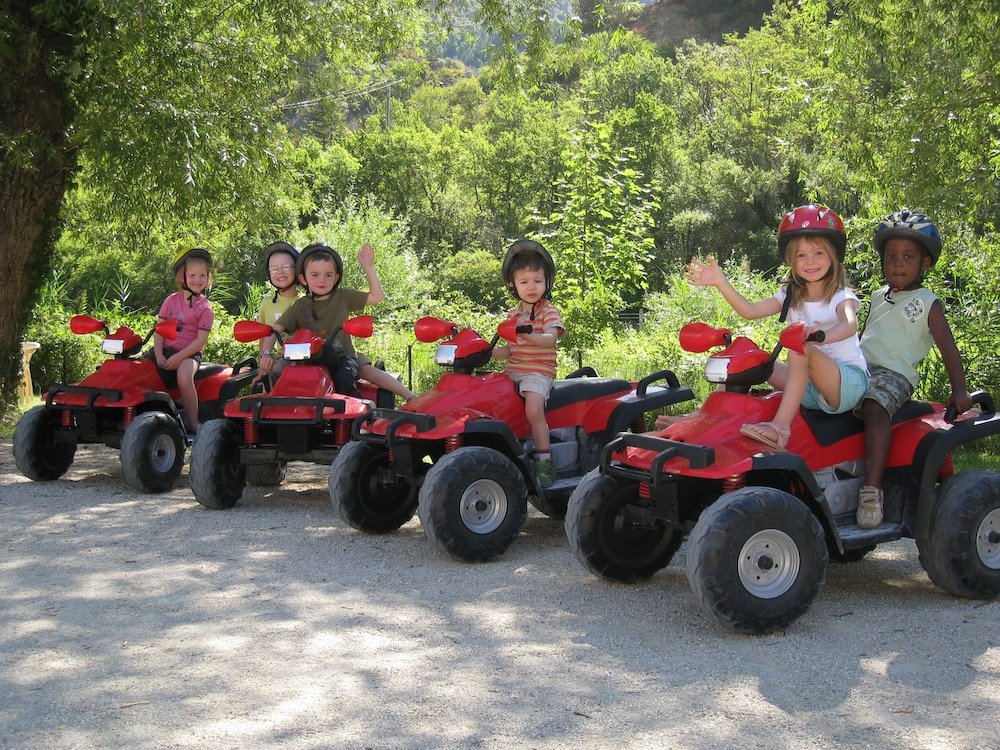 les lavandes
