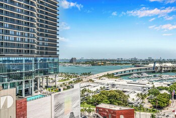 alea miami
