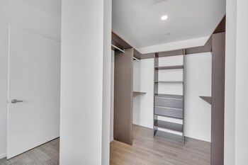 alea miami