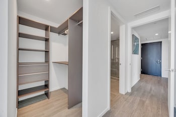 alea miami