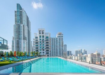 alea miami