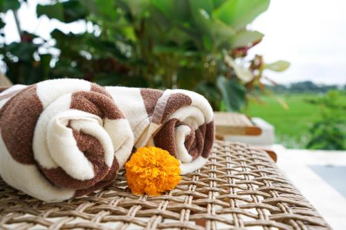 ubud dzen villas