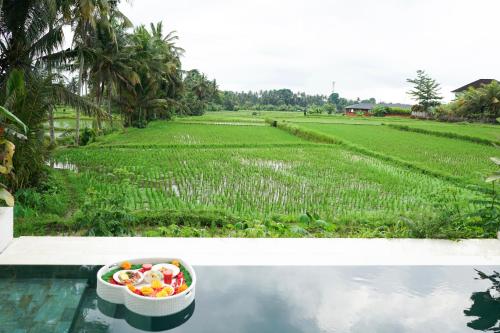 ubud dzen villas