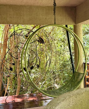 entre arboles iguazu singular collection by amerian