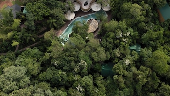 entre arboles iguazu singular collection by amerian
