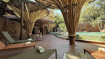 entre arboles iguazu singular collection by amerian