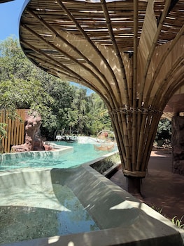 entre arboles iguazu singular collection by amerian