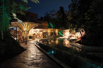 entre arboles iguazu singular collection by amerian