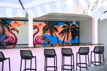 the pink flamingo boutique motel