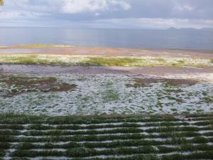 onkel inn torres de copacabana