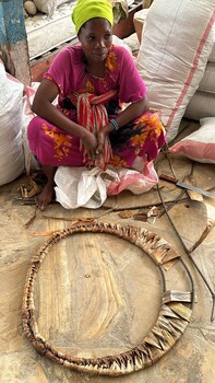 pangani