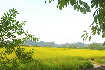 y van cac homestay