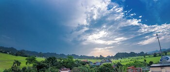 y van cac homestay
