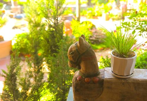 y van cac homestay