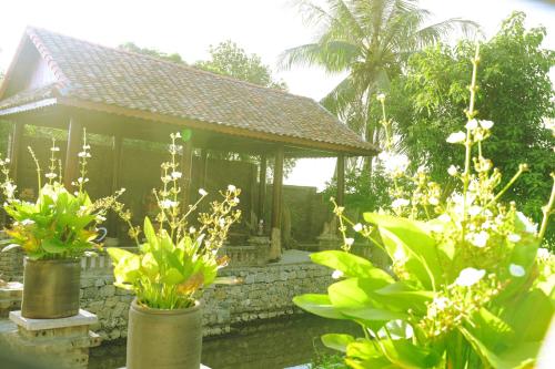 y van cac homestay