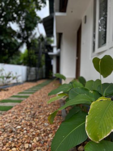 little chandhana guest house