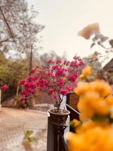 little chandhana guest house