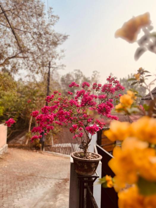 little chandhana guest house