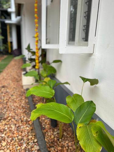 little chandhana guest house