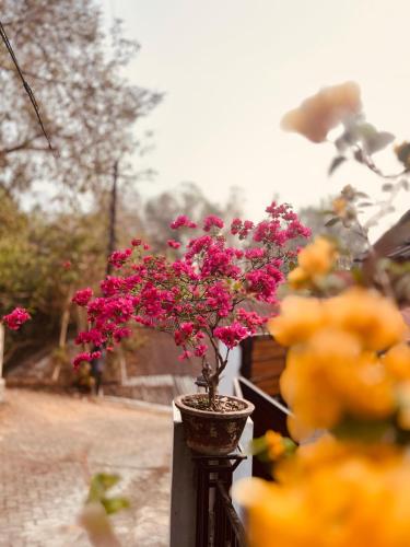 little chandhana guest house