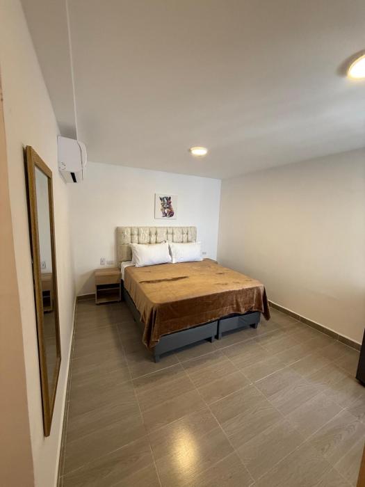 dave paradise