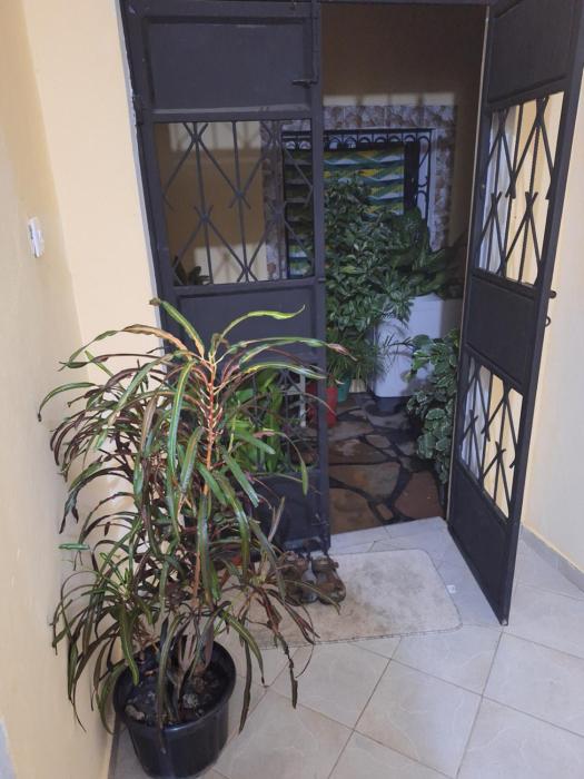 mount zion paradise guest house
