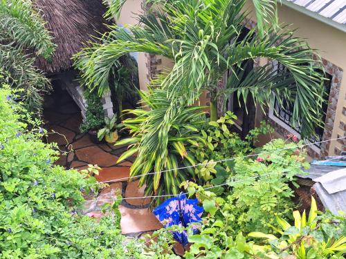 mount zion paradise guest house
