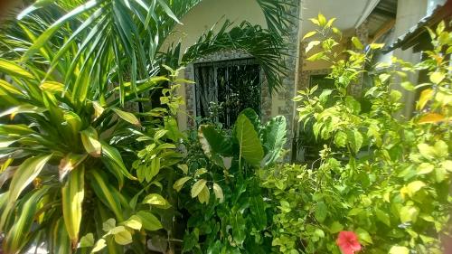 mount zion paradise guest house