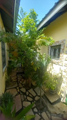 mount zion paradise guest house