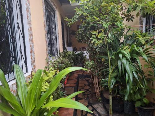 mount zion paradise guest house