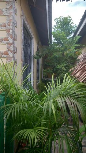 mount zion paradise guest house