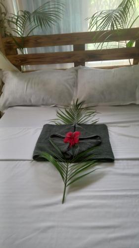 mount zion paradise guest house