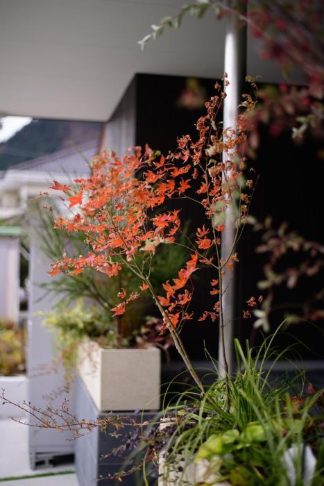 hakone