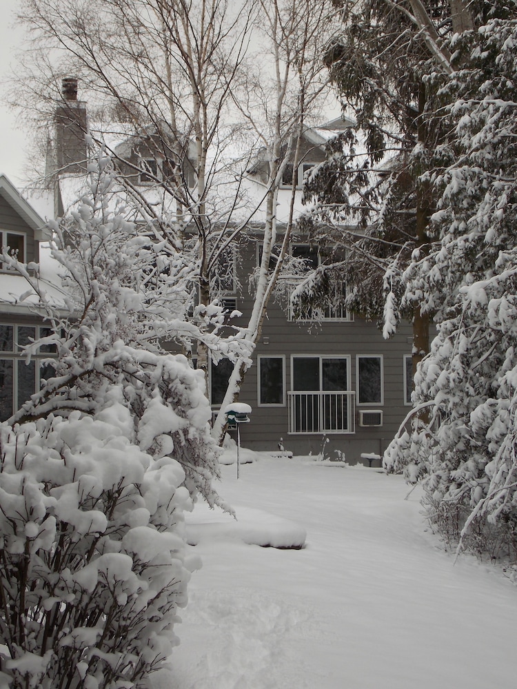 waterbury inn