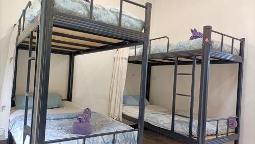 lucky pai resort and hostel