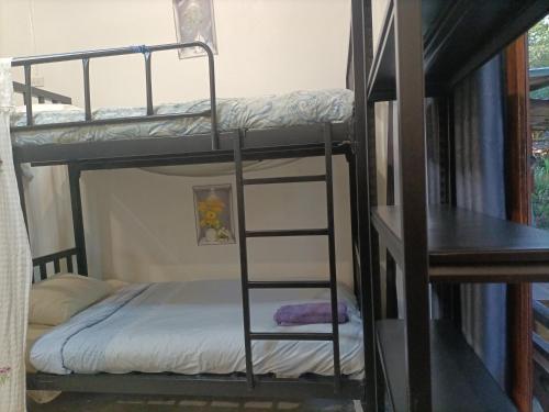 lucky pai resort and hostel