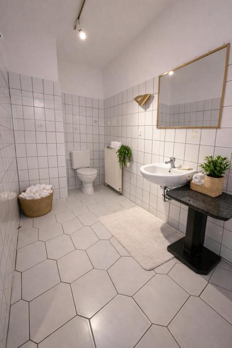 ar frankfurt airport terminal hotel