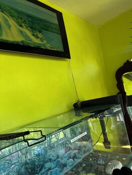 Windbreak Villa,,4 star