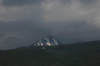 homma aparan