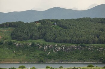 homma aparan