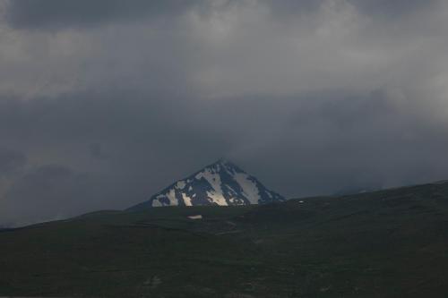 homma aparan