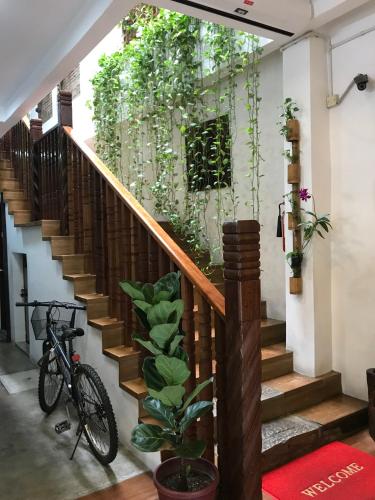 palm mansion boutique suites by moxy