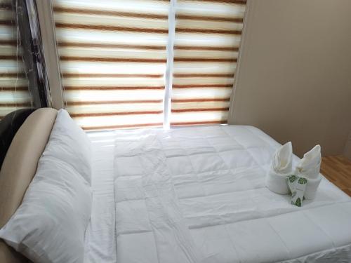 townhouse oak casa barcelona