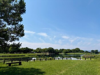 hotel amanek kumamoto