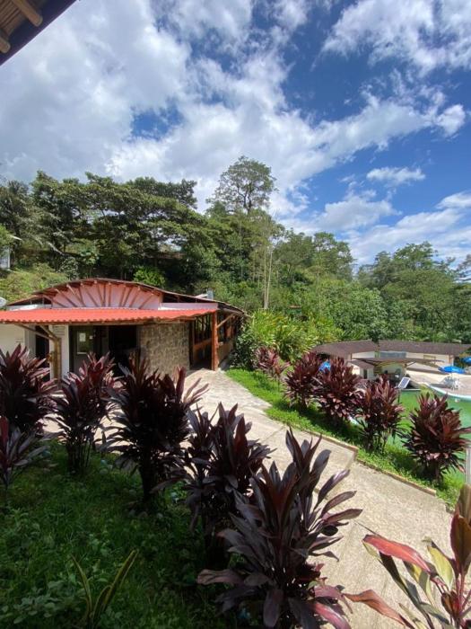 hotel y termales las heliconias