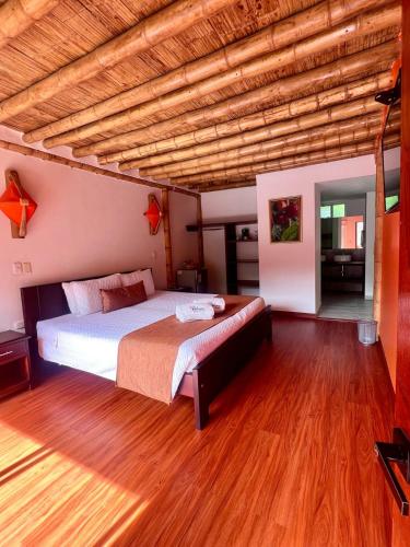 hotel y termales las heliconias