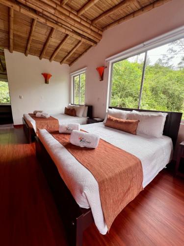 hotel y termales las heliconias