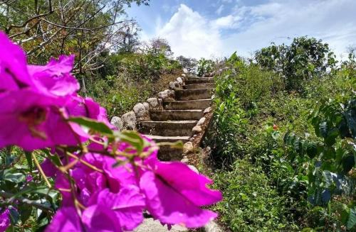 hotel y termales las heliconias
