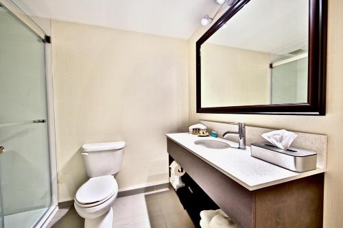best western plus montreal downtown hotel europa