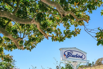 Bluebird Inn